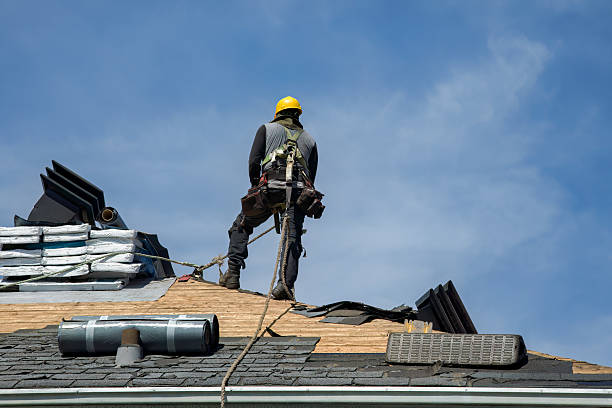Professional Gutter Installation technician working in Coleman, FL